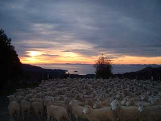 View of Abel Tasman  sun rise